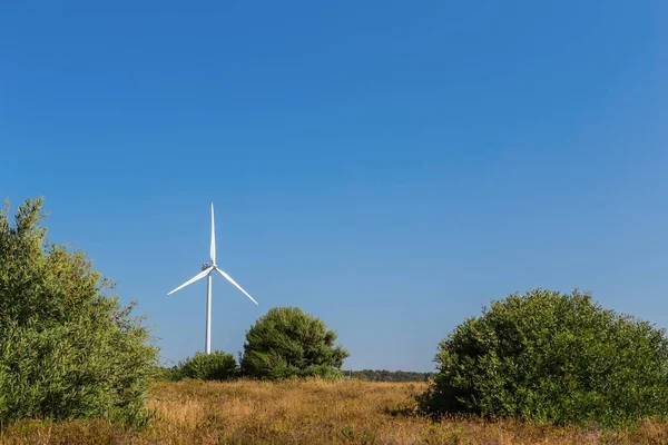 Generatorul Vânt Învârte Fundalul Liniei Forestiere Portugalia — Fotografie, imagine de stoc
