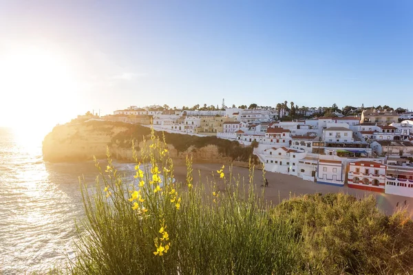 Vårblommor Bakgrunden Staden Carvoeiro Portugal — Stockfoto