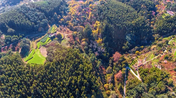 Aéreo Florestas Paisagem Zona Ecológica Monchique Céu Por Drones — Fotografia de Stock