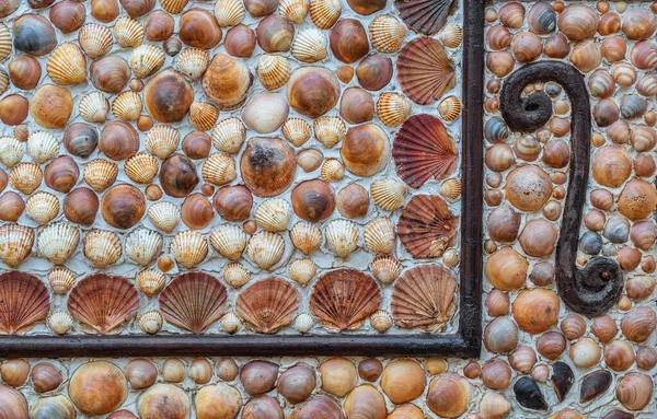 Mozaiki Muszelek Ścianie Zbliżenie — Zdjęcie stockowe