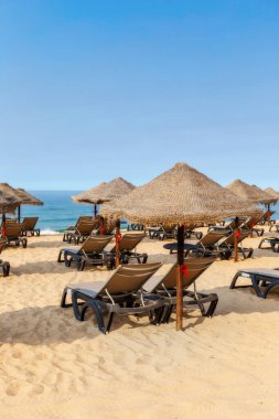 Yazın Albufeira 'da Portekiz sahilinde güneşli yataklar. Algarve