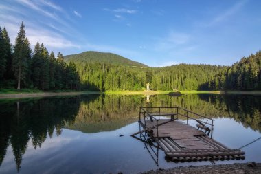 Karpatlar 'da, Sinevir köyünde, geçiş için eski tahta bir sal..