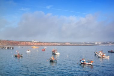 Liman Koyu, Sagres, Faro Portekiz, Algarve 'de balıkçı tekneleri