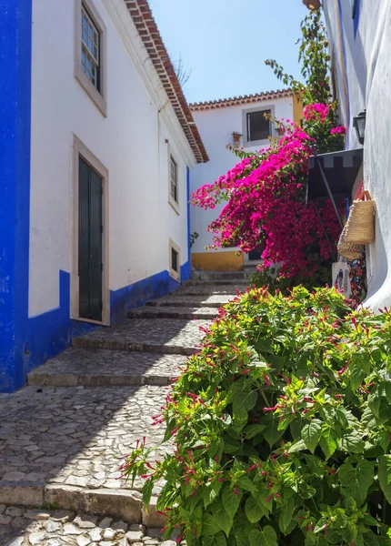 Historyczna Portugalska Wioska Obidos Wąskie Uliczki Brukowcem — Zdjęcie stockowe