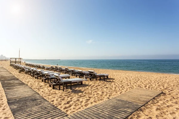 Filas Tumbonas Para Tomar Sol Playa Del Algarve Portugal —  Fotos de Stock