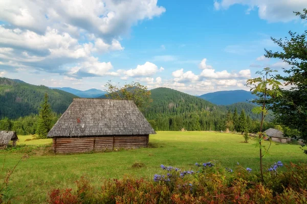 Opuszczony Stary Drewniany Dom Lesie Sinevir Carpathians Ukraina — Zdjęcie stockowe