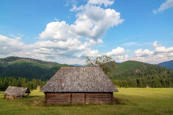 在喀尔巴阡山村的山上 Synevir废弃了木屋 没有租户 乌克兰 — 图库照片