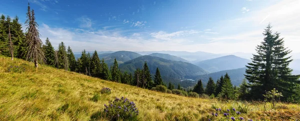 Wonderful View Carpathian Mountains Sinevir Ukraine — Stock Photo, Image
