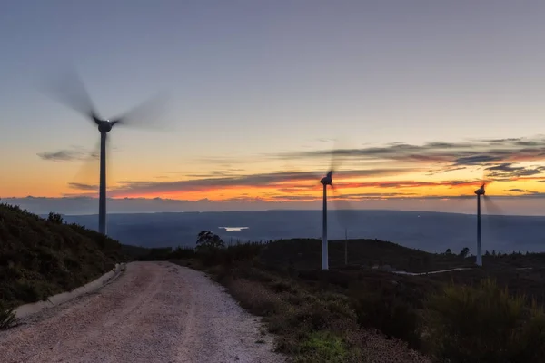 Magisk Solnedgång Vägen Med Vindkraftverk För — Stockfoto