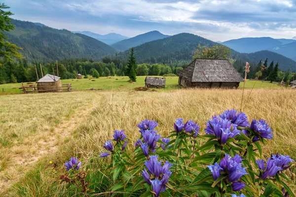 Houten Verlaten Huizen Karpaten Nationaal Park Synevir — Stockfoto