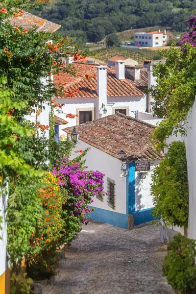 Starobylé Ulice Domy Portugalské Vesnice Obidos — Stock fotografie