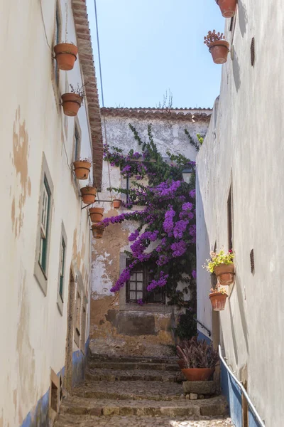 Starobylé Ulice Domy Portugalské Vesnice Obidos — Stock fotografie