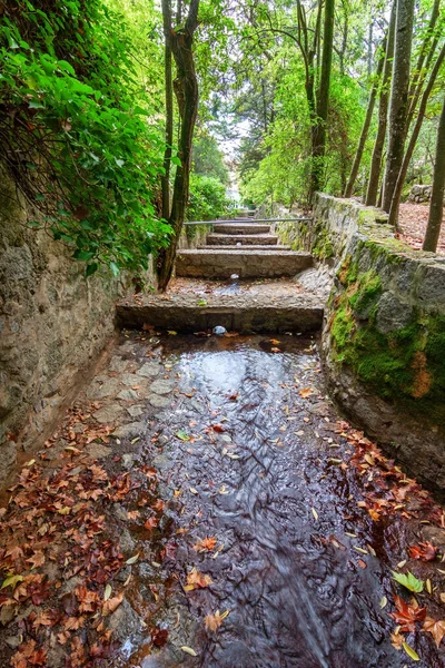Canal Eau Ruisseau Dans Parc Caldes Monchique Portugal — Photo