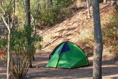 Çam ormanında turistler için kamp çadırı.