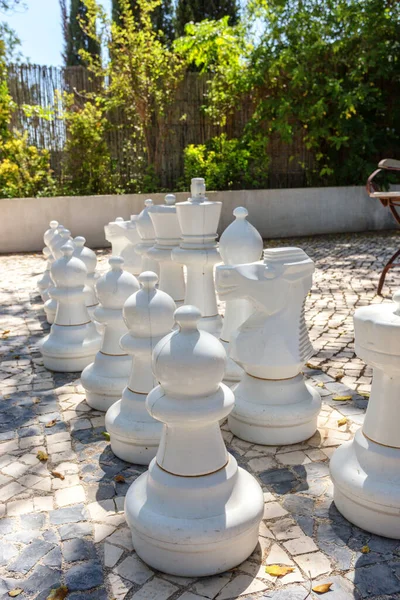 Velké Šachové Figurky Pro Zábavu Parku — Stock fotografie