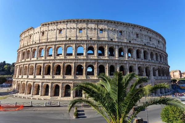 Starověká Italská Památka Kolosea Římě Pohled Parku — Stock fotografie