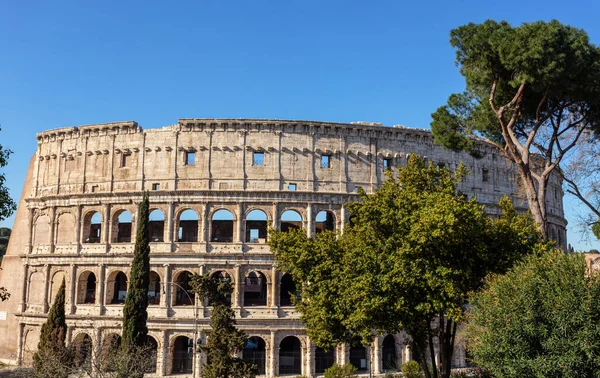 ローマのコロッセオの古代イタリアの記念碑 公園からの眺め — ストック写真