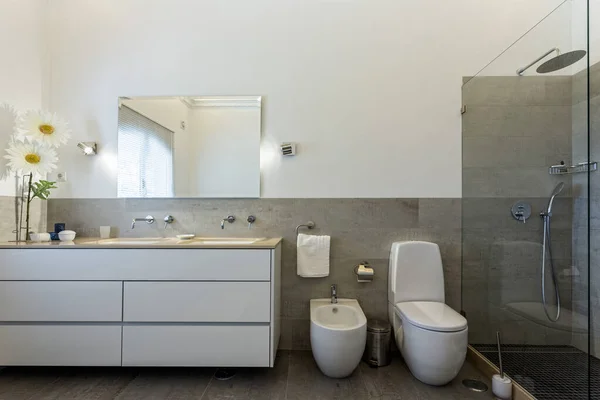 Stilvolle Badezimmer Mit Dusche Modernem Dekor — Stockfoto