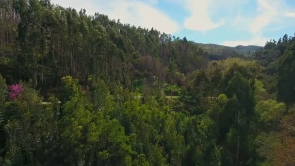 Montagnes brûlées et forêts du parc naturel de Monchique. Une vue du ciel d'un drone .