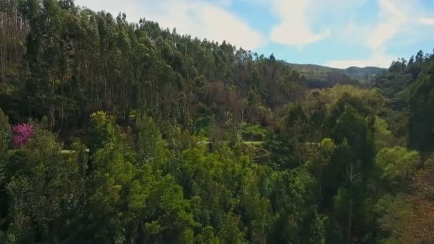 Spálené hory a lesy přírodního parku Monchique. Pohled z oblohy na dron. — Stock video