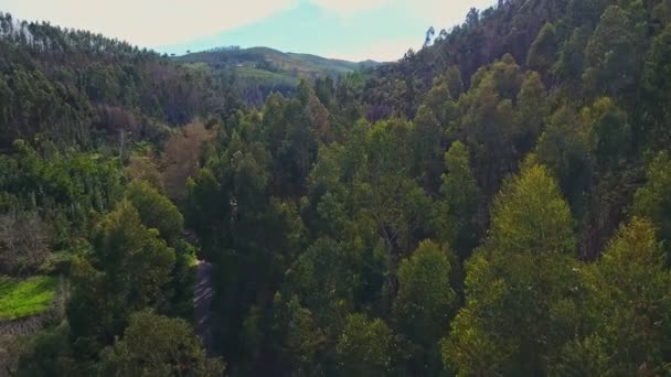 Brända berg och skogar i Monchique naturpark. En vy från himlen av en drönare. — Stockvideo