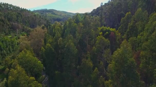 Montañas quemadas y bosques del Parque Natural de Monchique. Una vista desde el cielo de un dron . — Vídeo de stock