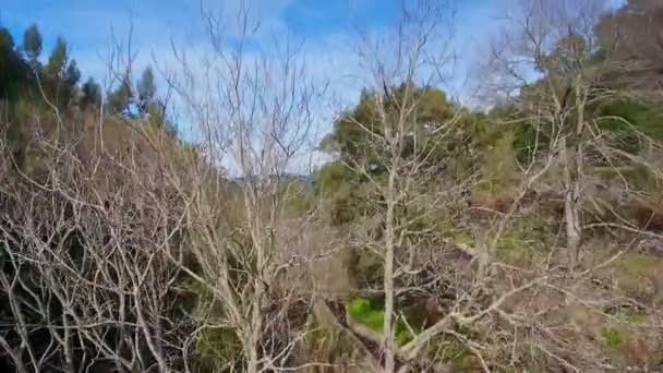 Burnt mountains and forests of Monchique Natural Park. A view from the sky of a drone. — Stock Video