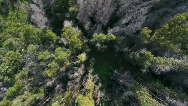 Montanhas queimadas e florestas do Parque Natural de Monchique. Uma vista do céu de um drone . — Vídeo de Stock