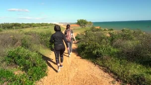 Sports successful women tourists strolling along a cliff on the ocean. Mom with a daughter. — Stock Video