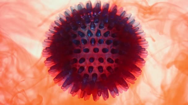 Il modello dei batteri coronavirus, pandemia, nel sangue . — Video Stock