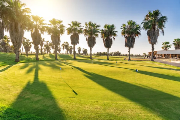 Krásné golfové hřiště se zelenou trávou. Vysoké stromy. Slunečný den s modrou, jasnou oblohou. Portugalsko, Algarve. — Stock fotografie