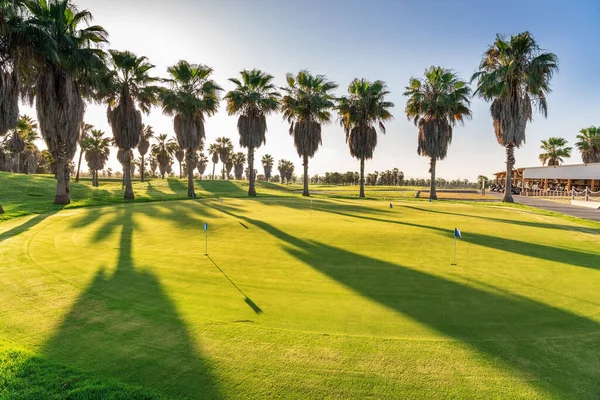 Yeşil çimenli güzel bir golf sahası. Uzun ağaçlar. Mavi, açık gökyüzü olan güneşli bir gün. Portekiz, Algarve. — Stok fotoğraf