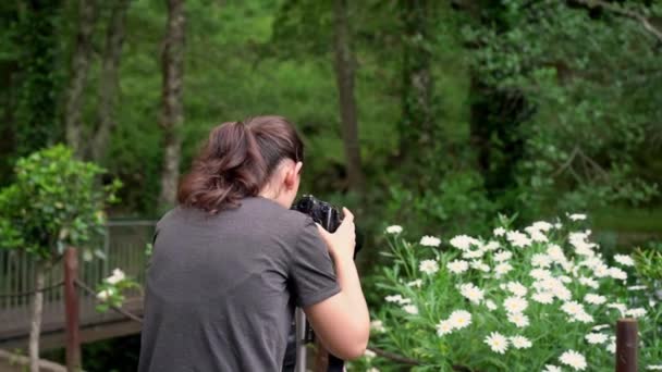 Una joven, fotógrafa, en una zona boscosa, toma fotos de flores y hermosa naturaleza . — Vídeos de Stock