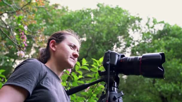 A young girl, a photographer, in a forest area, takes pictures of beautiful nature. — Stock Video