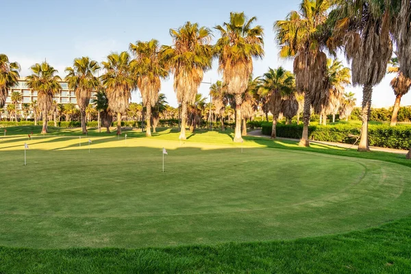 Yeşil çimenli güzel bir golf sahası. Uzun ağaçlar. Mavi, açık gökyüzü olan güneşli bir gün. Portekiz, Algarve. — Stok fotoğraf