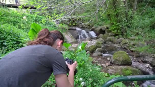 Ένα νεαρό κορίτσι, μια φωτογράφος, φωτογραφίζει την όμορφη φύση σε μια δασική περιοχή όπου ρέει ένα ρυάκι. — Αρχείο Βίντεο