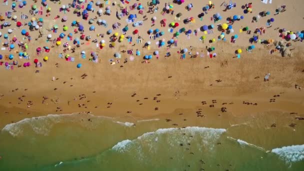 海岸の空中写真、ポルトガルのゲールのビーチ。傘の下で休息し、澄んだ水で泳ぐ観光客. — ストック動画