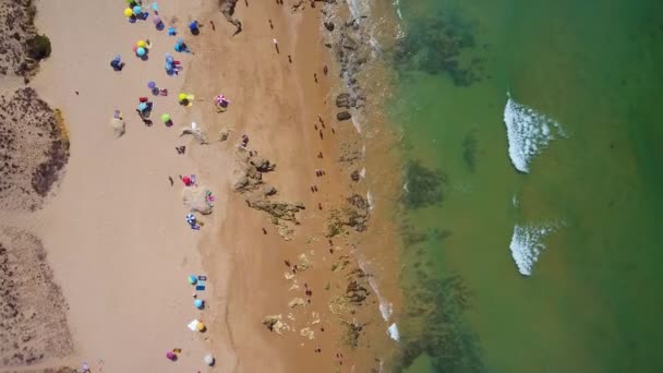 海岸の空中写真、ポルトガルのゲールのビーチ。観光客は傘の下で休み、透明度の高いターコイズブルーのサンゴ礁で泳ぐ. — ストック動画