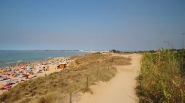 Sahilin havadan çekilmiş fotoğrafları, Portekiz 'deki kum tepeleri, Gale plajları. Turistler dinlenir ve okyanusta yüzerler. İleri bir atış değil..