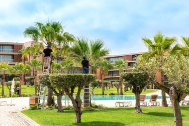 Portekiz Albufeira 2020 Mayıs 08: Salgados Oteli 'ndeki bahçıvanlar, temizlik ve düzeni sağlamak için eski palmiye dallarını kestiler.