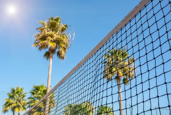 Konzeptionelle sportliche Ansicht eines Tennisnetzes vor dem Hintergrund von Palmen und strahlender Sonne. — Stockfoto