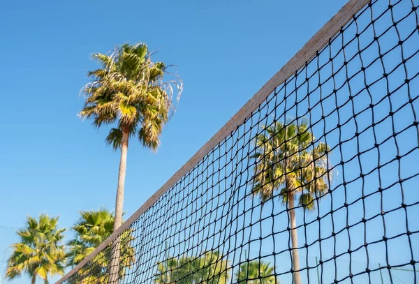Koncepcyjny sportowy widok siatka tenisowa na tle palmy. — Zdjęcie stockowe