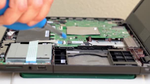 Ingegnere informatico, pulisce una pera, la polvere da una scheda madre di computer portatile. Primo piano . — Video Stock