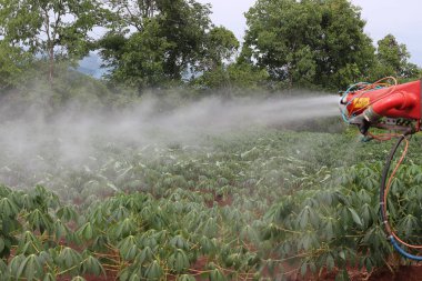 Manyok çiftlik sulama