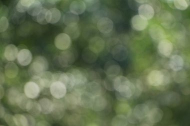 doğal bokeh arka plan