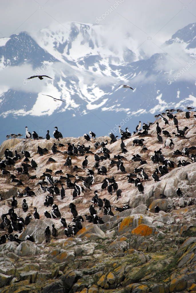 It is located in Ushuaia, Argentina