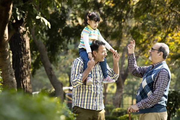 Família indiana feliz multi geração no parque ao ar livre — Fotografia de Stock