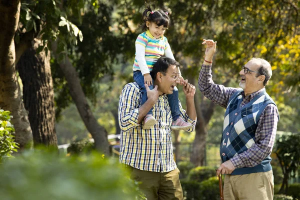 Família indiana feliz multi geração no parque ao ar livre — Fotografia de Stock