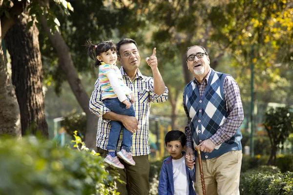 在户外公园里快乐的多代印第安人家庭 — 图库照片