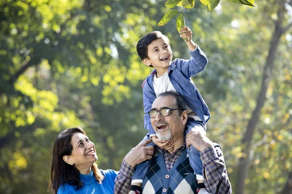 Avó com neto sentado no ombro dos avós no parque — Fotografia de Stock